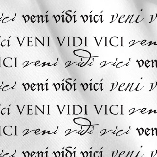 Veni, Vidi, Vici Boxer Shorts